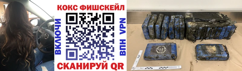 COCAIN Fish Scale Вичуга