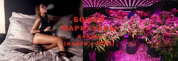 крисы Рославль